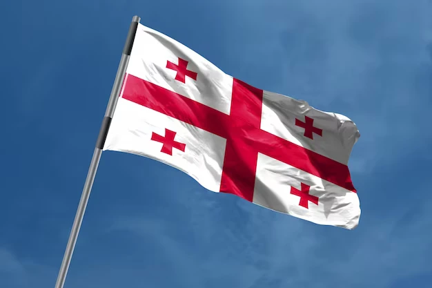 Georgia Banner